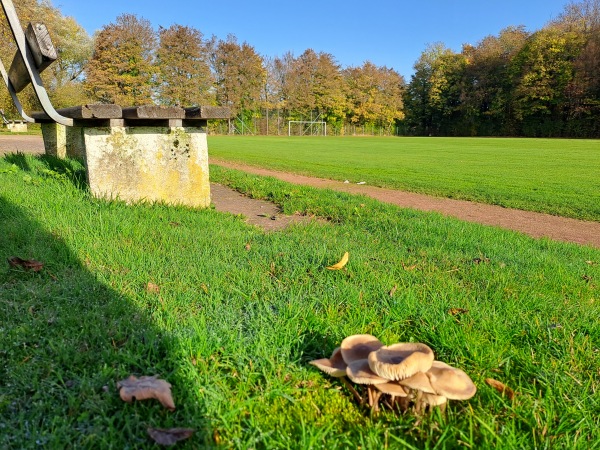 Sportplatz Leopoldstal - Horn-Bad Meinberg-Leopoldstal