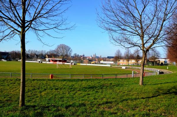 Friedrich-Ludwig-Jahn-Sportpark - Querfurt