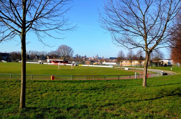 Friedrich-Ludwig-Jahn-Sportpark - Querfurt