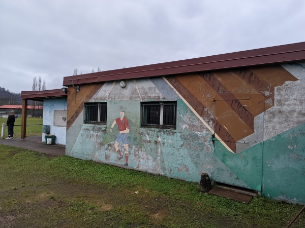 Stade Ludovic Oscar Frossard - Ronchamp
