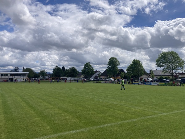 Sportanlage In der Rheinaue - Hartheim/Rhein