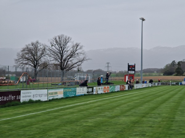Stade Marc Burdet - Collex