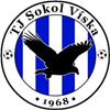 Wappen TJ Sokol Viska  103738