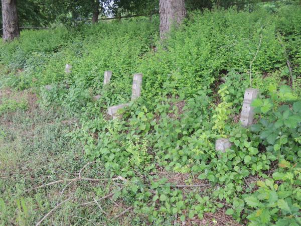 Sportplatz Flacht - Flacht/Aar