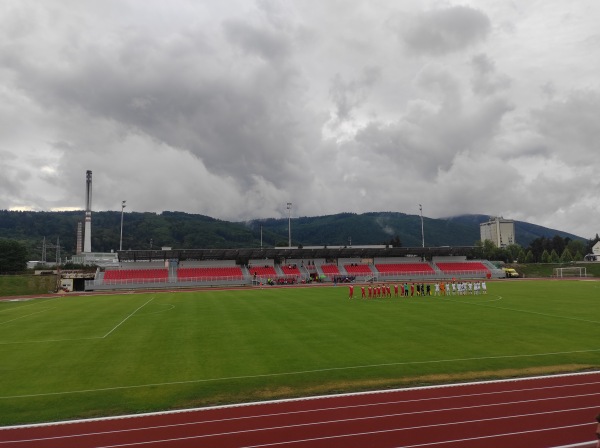 Mestské športové kluby Považská Bystrica - Považská Bystrica