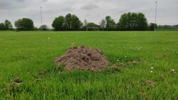 Sportanlage Brandhorst B-Platz - Barsinghausen-Landringhausen