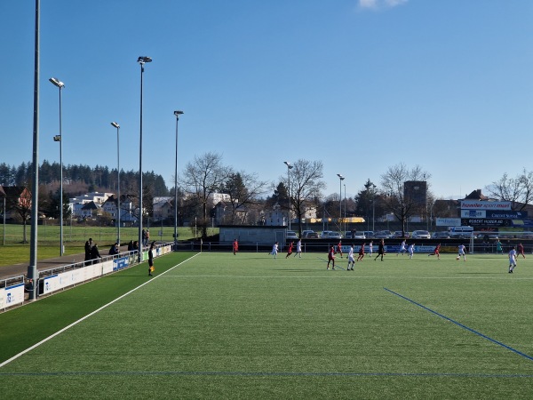 Stadion Brühl - Muri