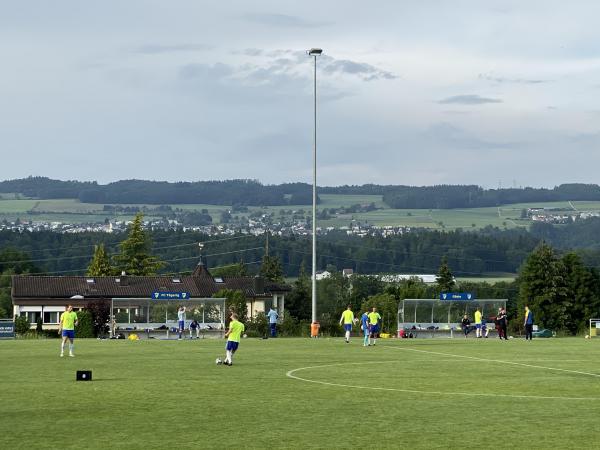 Sportplatz Kleinzelg - Tägerig
