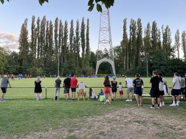 Sportanlage auf der Südspitze Platz 2 - Niederwerth