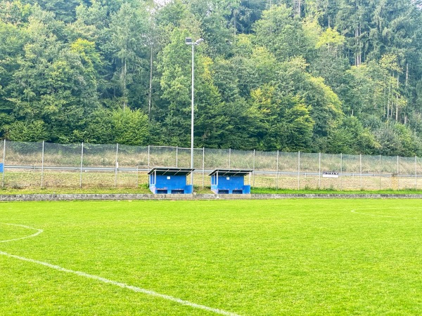 Sportanlage Schefflenztalstraße Platz 2 - Billigheim/Baden