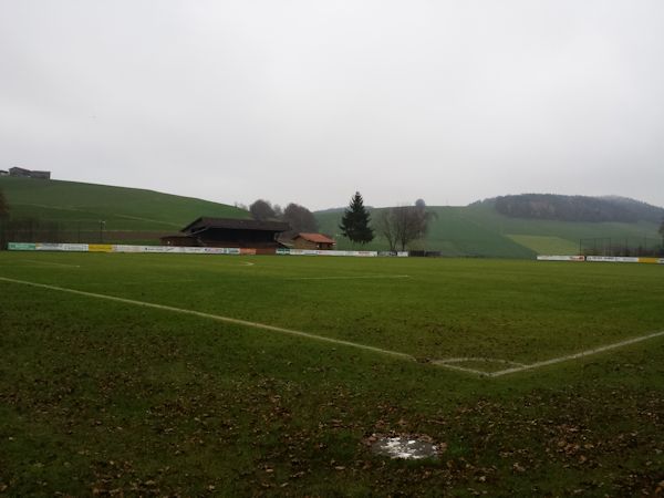 Alter Sportplatz Neukirchen - Neukirchen beim Heiligen Blut