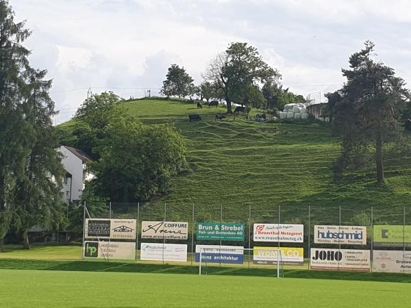 Sportplatz Riedmatt - Niederwil