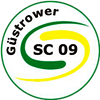 Wappen Güstrower SC 09 diverse  111690