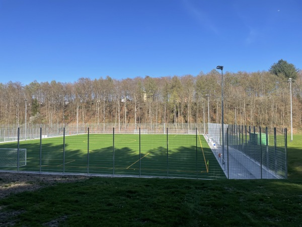 GEBERIT-Arena Käfig-Stadion - Pfullendorf