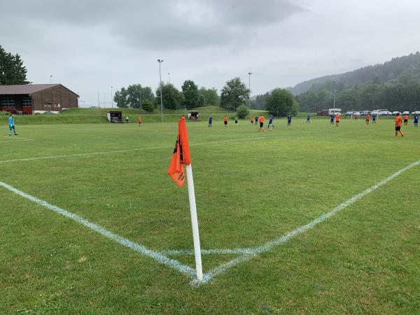 Stade des Ecoulas - Promasens