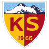 Wappen Kayserispor