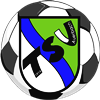 Wappen TSV Auerbach 1919 II