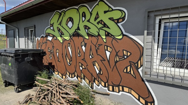 Boisko w Niedoradzu - Niedoradz