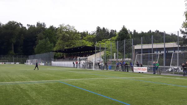 Sportanlage Bodenweid Platz 1 - Bern