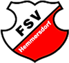 Wappen FSV Hemmersdorf 1927  1863