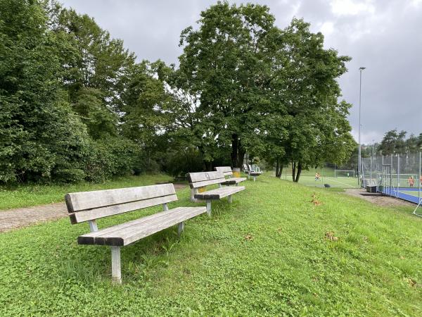 Sportanlage Hardhof Platz 4 - Zürich