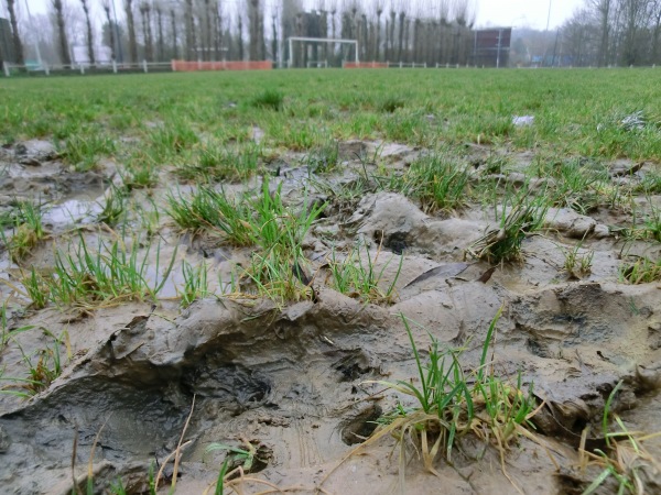 Terrein Sint-Annalaan - Vilvoorde