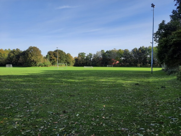 Sportpark De Langeleegte veld 5 - Veendam