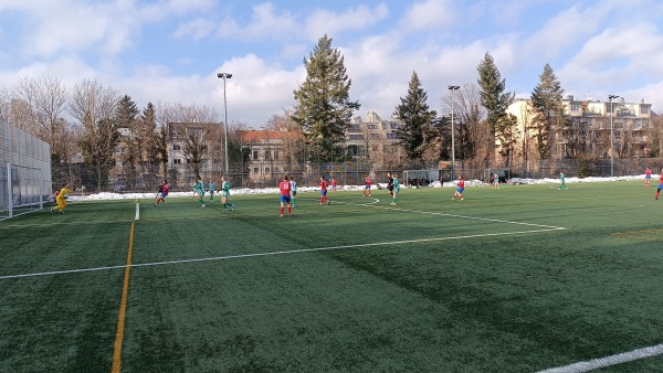 Allianz Stadion Trainingsplatz West 2 - Wien