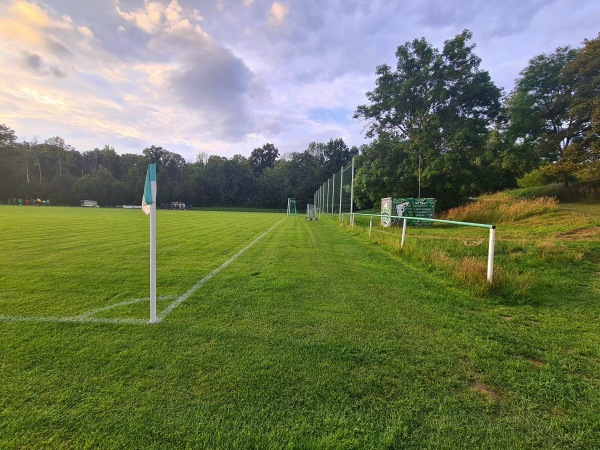 Alfred-Kunze-Sportpark Platz 6 - Leipzig-Leutzsch