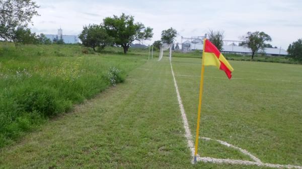 Stadion Rayagropostach - Pryshyb