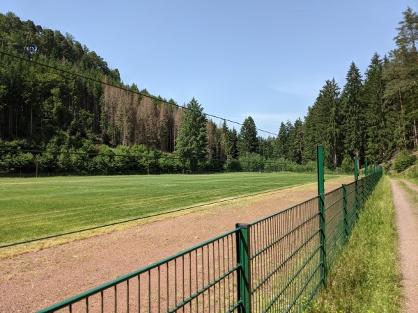 Sportplatz Erdbeertal - Weidenthal