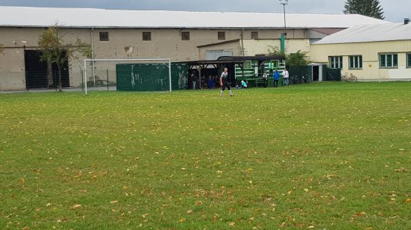 Sportplatz An der Technik - Witzleben/Thüringen