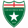 Wappen GSD Sestrese Bor. 1919  81989