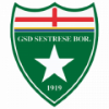 Wappen GSD Sestrese Bor. 1919