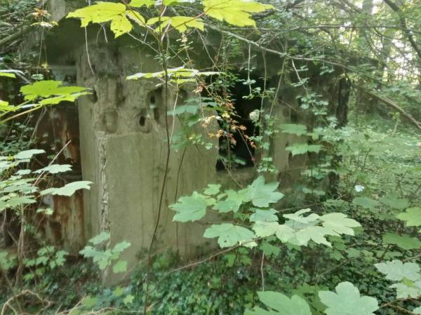 Sportplatz im Steinbruch - Mettmann-Neanderhöhe