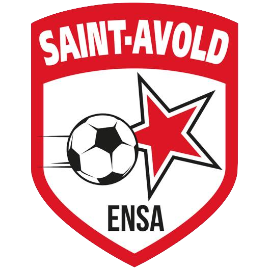 Wappen EN Saint Avold  11613