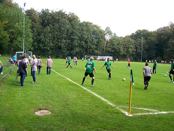 Sportplatz an der Schule - Oelixdorf