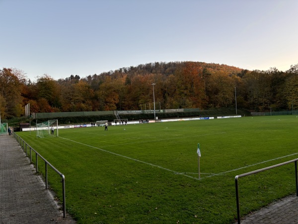 Sportplatz Rentrisch - St. Ingbert-Rentrisch