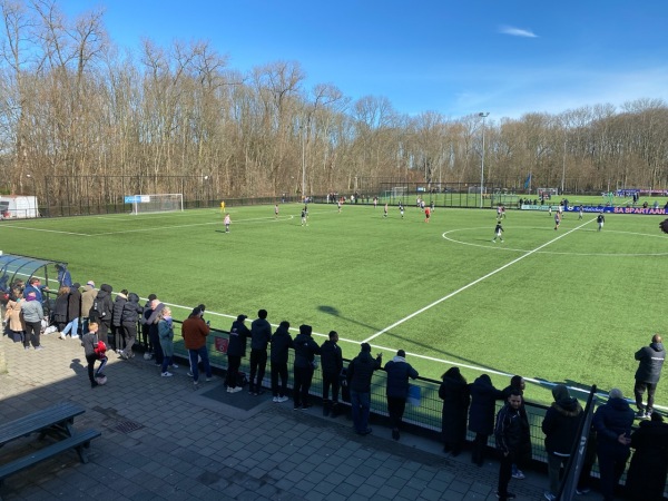 Zuiderpark - Spartaan '20 veld 2 - Rotterdam