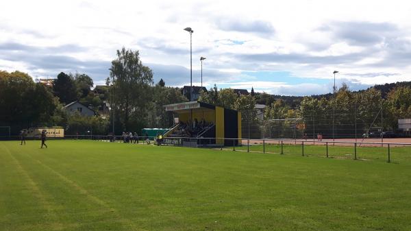 Sportplatz Niderwis - Elsau