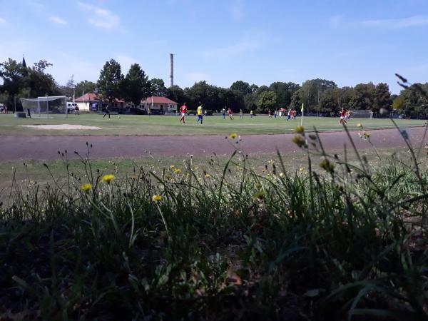 Klemens-Fendler-Sportforum - Sülzetal-Altenweddingen