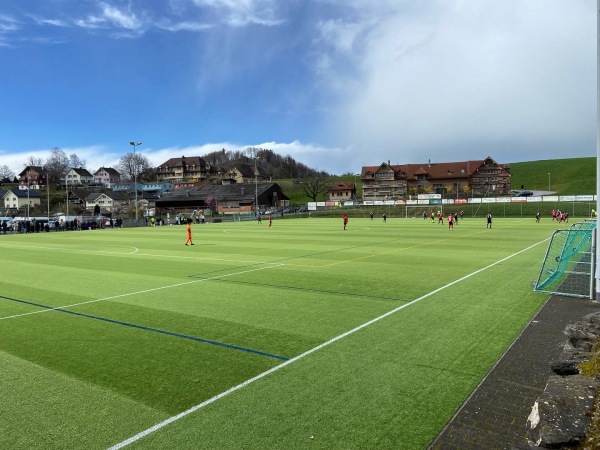 Sportplatz Kreckel Platz 2 - Herisau