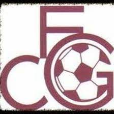 Wappen FC du Goyen  99239