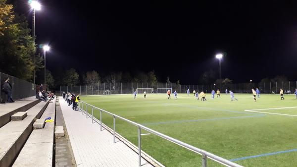 Sportzentrum Altkönigschule Platz 2 - Kronberg/Taunus