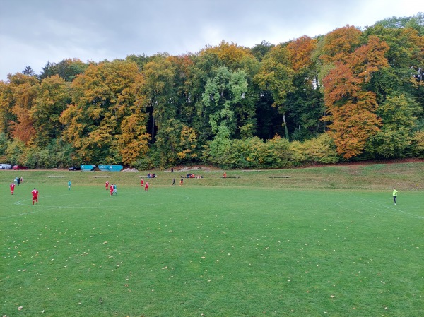 Schneckenarena - Bonndorf/Schwarzwald-Dillendorf