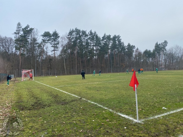 Sportzentrum Langwasser-Süd Platz 3 - Nürnberg-Moorenbrunn