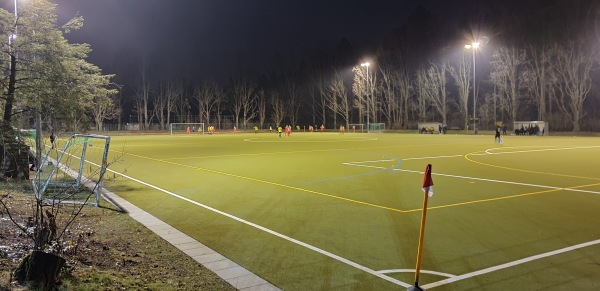 Volksparkstadion Nebenplatz 3 - Berlin-Mariendorf