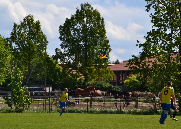 Sportanlage Tränkeweg B-Platz - Braunschweig-Hondelage