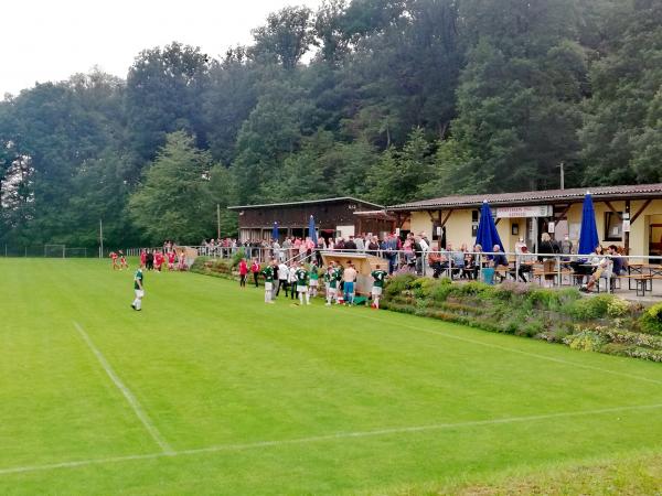 Sportanlage Holzwiese - Marktheidenfeld-Altfeld