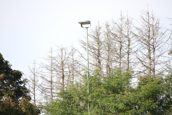 Sportplatz Nideggener Straße - Hürtgenwald-Brandenberg